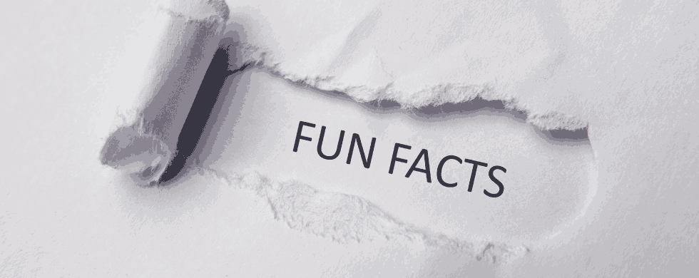 Torn paper effect with bold "FUN FACTS" text for Marc Francis Plumbing blog about plumbing insights and tips.