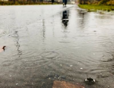 Ground flooding on a wet surface with rainwater pooling, illustrating risks of septic backups during heavy rainfall.
