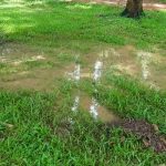 Patch of grass with puddles reflecting trees, depicting signs of hidden water leaks for plumbing issues.
