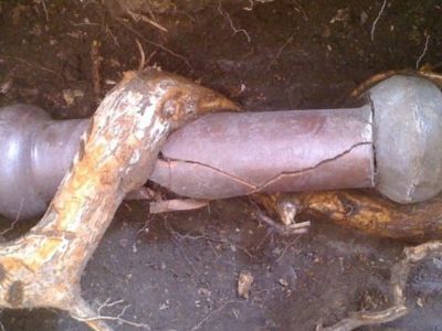 Tree roots encircling a cracked underground pipe, illustrating the damage caused by invasive roots to plumbing systems.